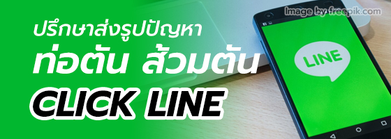 ไลน์ร้านช่างซ่อมท่อตัน ส่วมตัน ลอกท่อ เชียงใหม่