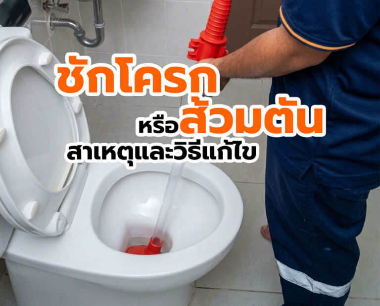 ชักโครกหรือส้วมตัน น้ําเอ่อกดราดไม่ลง เกิดจากอะไร วิธีแก้ทําไง